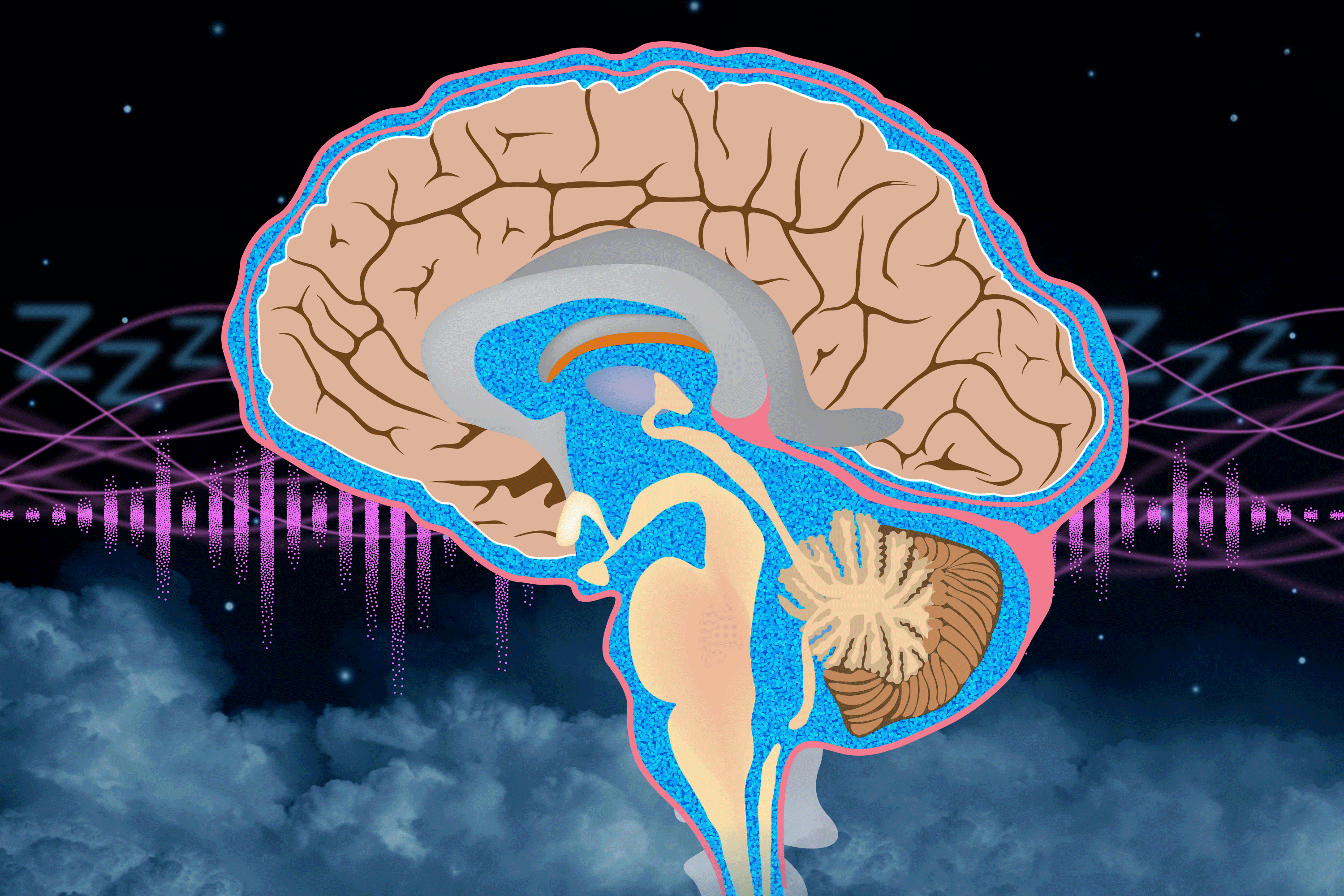 MIT illustration of synchronized brain waves, sound stimulation and cerebrospinal-fluid movement during sleep